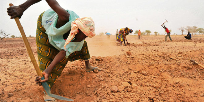 في نواكشوط: اجتماع لمكافحة آثار الجفاف في الساحل