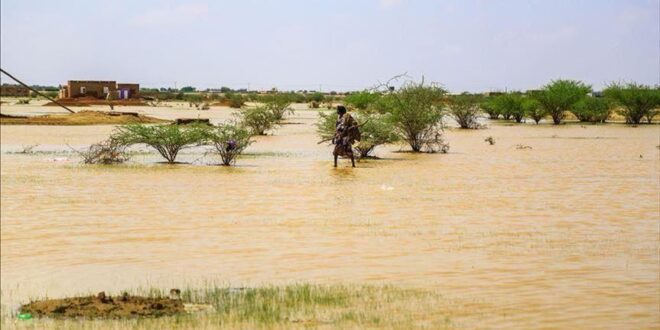 تساقطات مطرية متفاوتة في أربع ولايات موريتانية (مقاييس)
