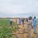 شركات تكنولوجيا زراعية تبدي اهتمامها بالاستثمار في موريتانيا
